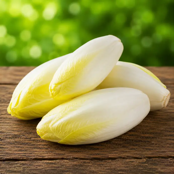 Endive