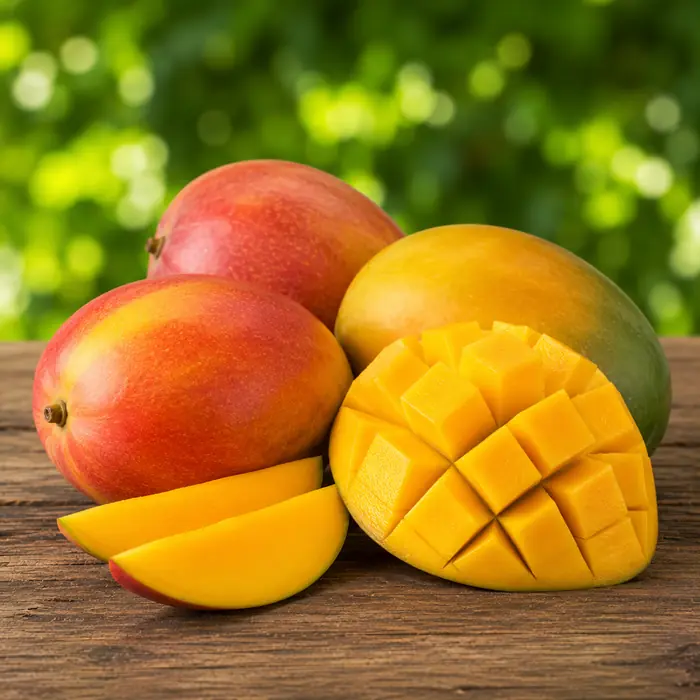 Mangue